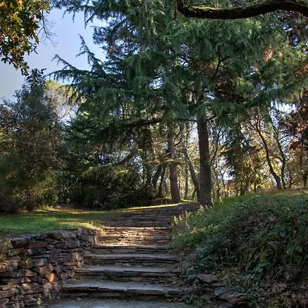 Apartment T3 Cosy, Grand Jardin, A 200 M De Parc St Nicolas, Plusieurs Parkings Angers Avrille (Maine-et-Loire)